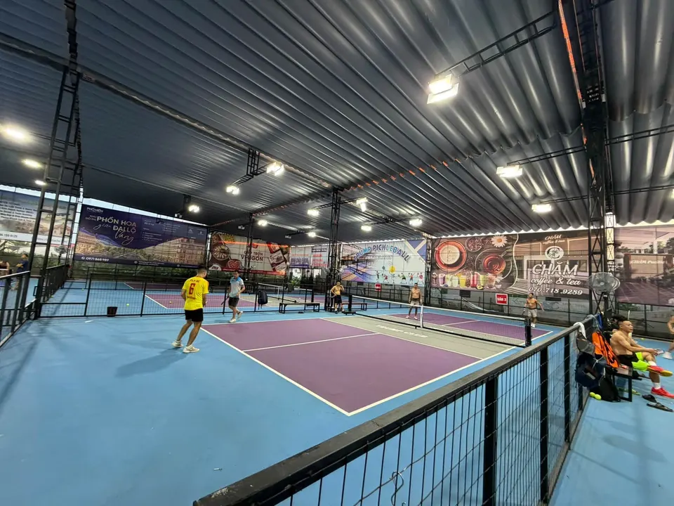 Sân pickleball trong nhà
